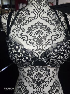 Victoria's Secret Black Lace Push-Up Bra with Sheer Trim
